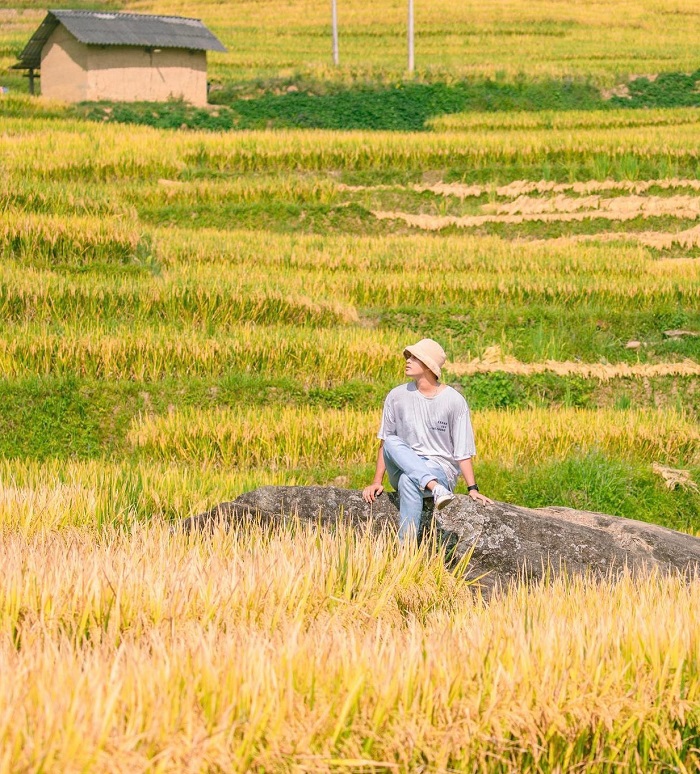 điểm du lịch mùa lúa chín 