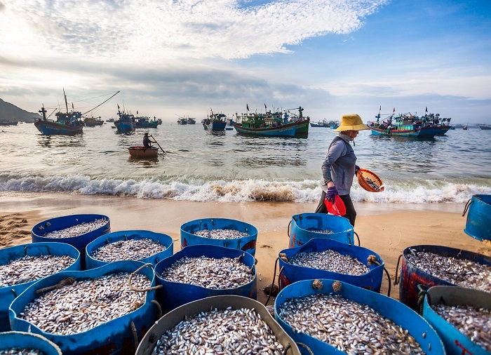 Kinh nghiệm phượt quy nhơn