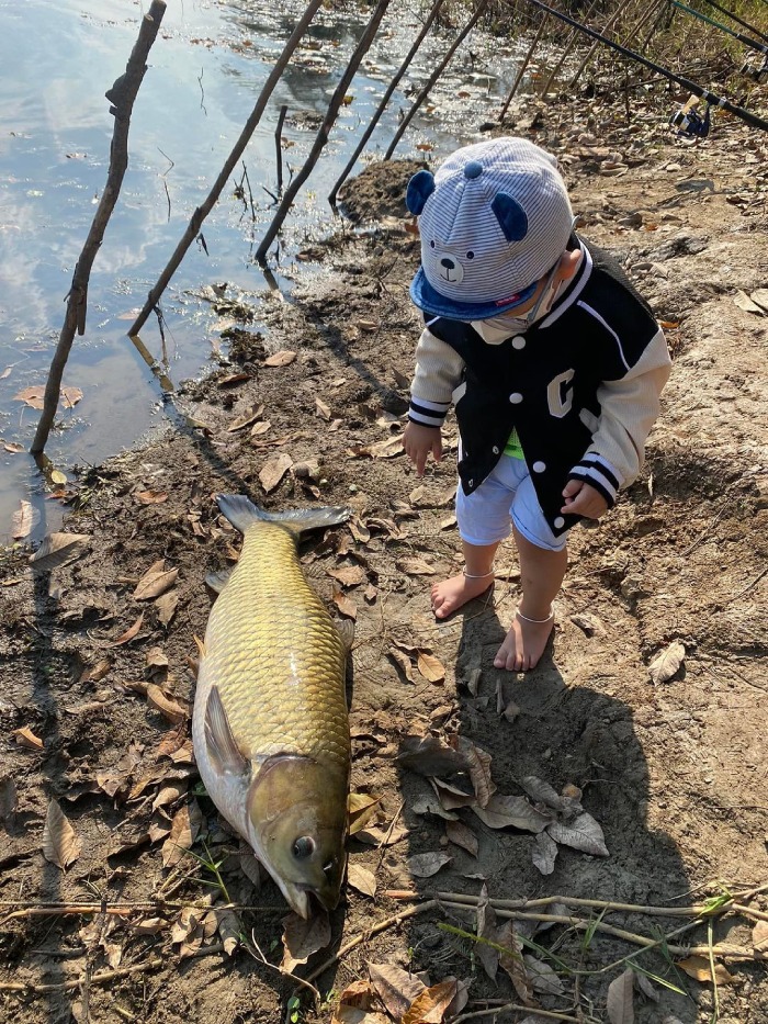 hồ Suối Giai Bình Phước có nhiều loài cá
