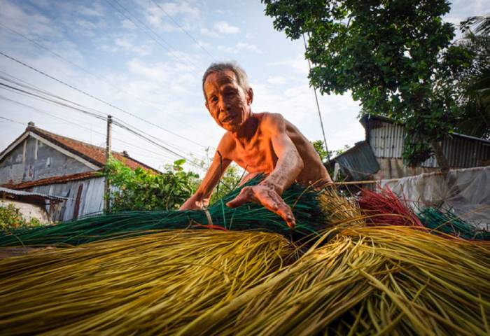 làng dệt chiếu Hới với cói khắp đường ngõ