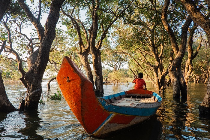 rừng đước tại Biển hồ Tonle Sap Campuchia