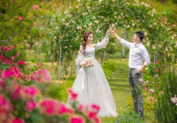 chụp ảnh cưới ở cao nguyên hoa Đà Lạt