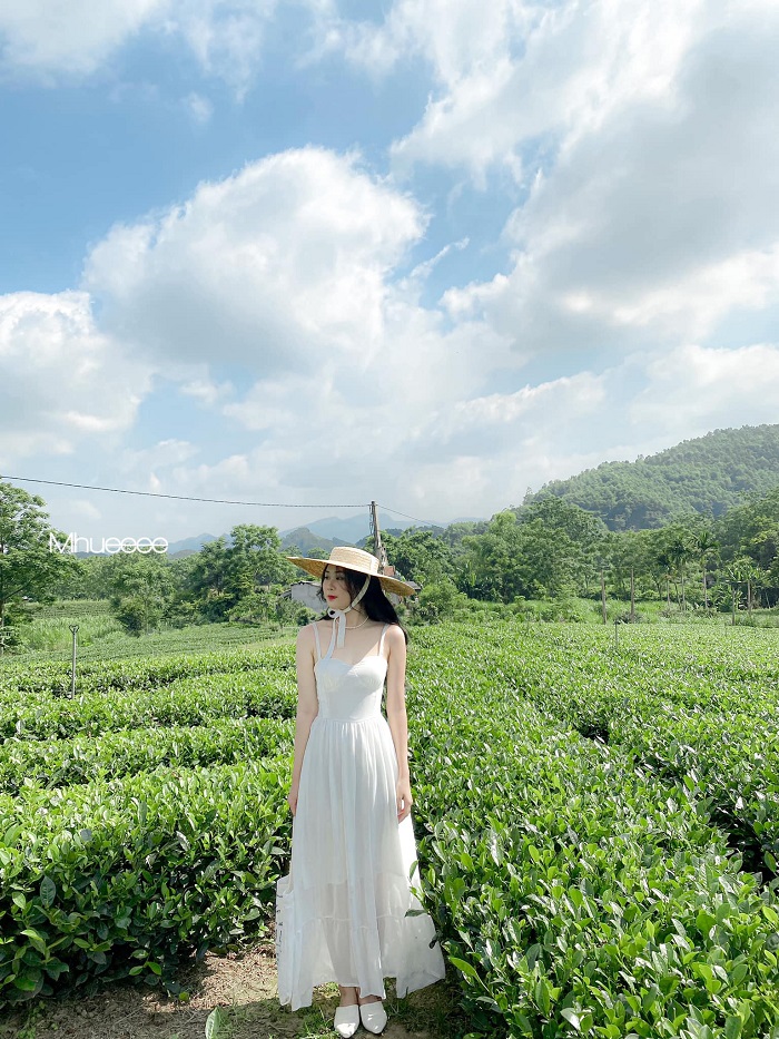 Xã Tân Cương có nhiều đồi chè thoai thoải là điểm du lịch cộng đồng Thái Nguyên và check in lý tưởng