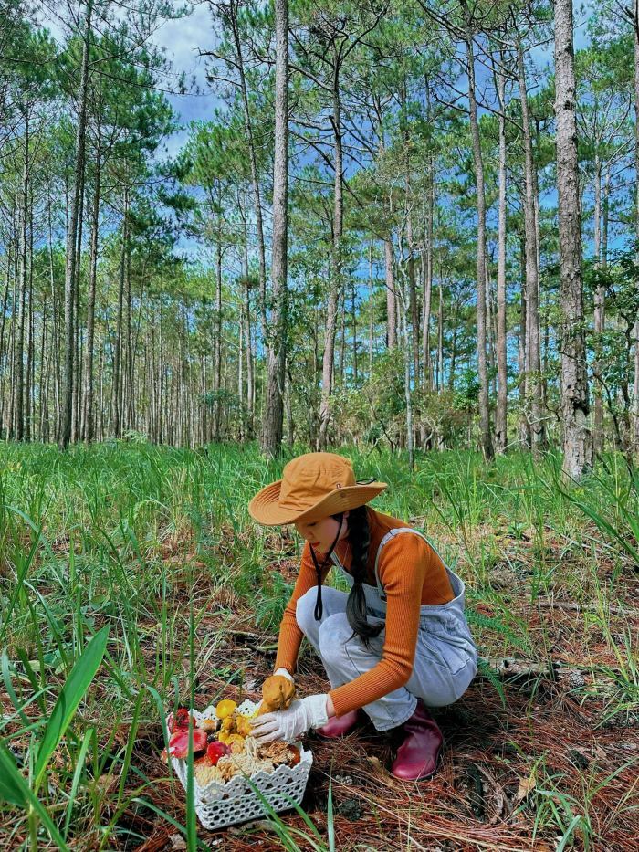 hành trình hái nấm Đà Lạt mùa mưa trong rừng thông