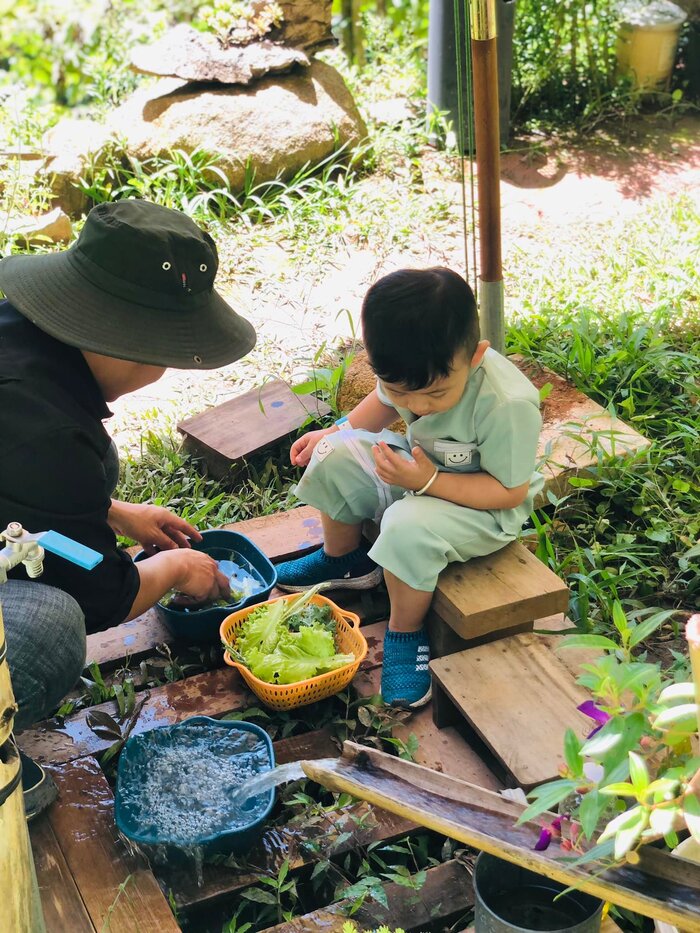 hái nấm Đà Lạt mùa mưa phù hợp với nhiều đối tượng