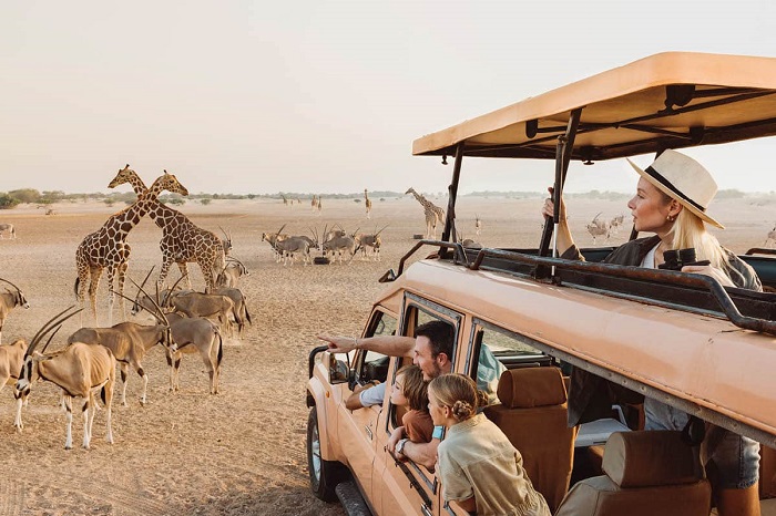 Sir Bani Yas hòn đảo đẹp ở Trung Đông