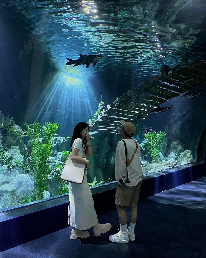 Theo kinh nghiệm đi chơi Hồ Tây trong Lotte Mall có thủy cung lớn nhất Hà Nội.