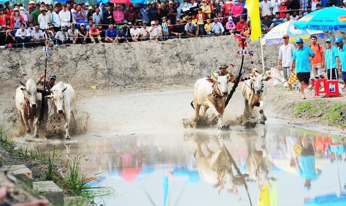 Lễ hội Dolta - lễ hội ở An Giang