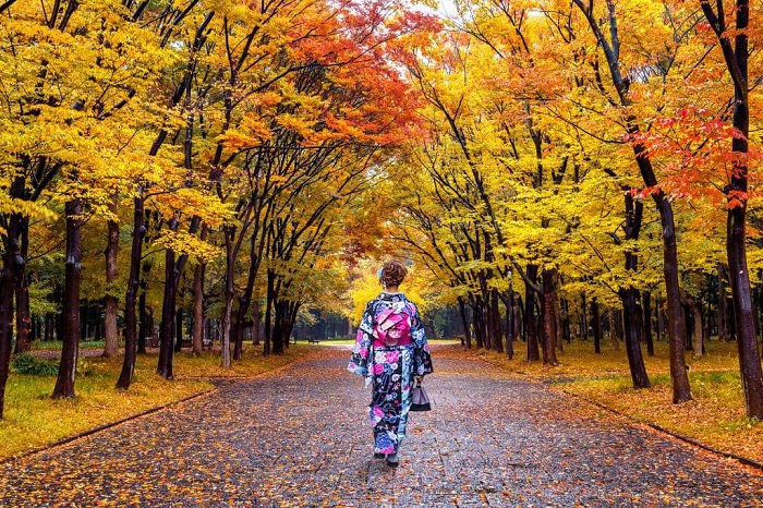 check in mùa thu ở Nhật Bản