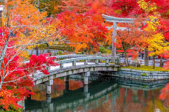  Đền Eikando mùa thu ở Nhật Bản