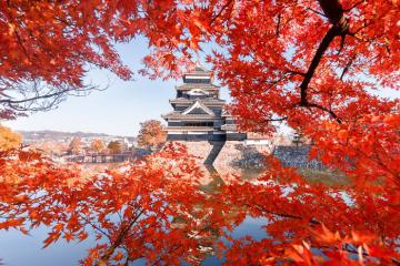 9 điều nên làm để trải nghiệm trọn vẹn mùa thu ở Nhật Bản