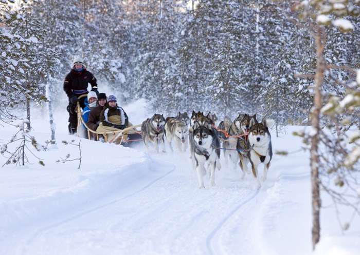 Du lịch Rovaniemi Phần Lan