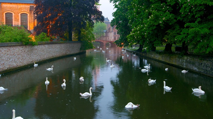 du lịch Bruges Bỉ 