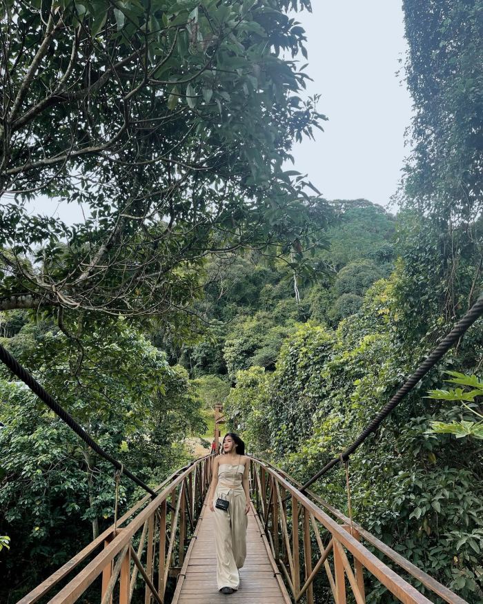 cầu treo ở Kon Tum 