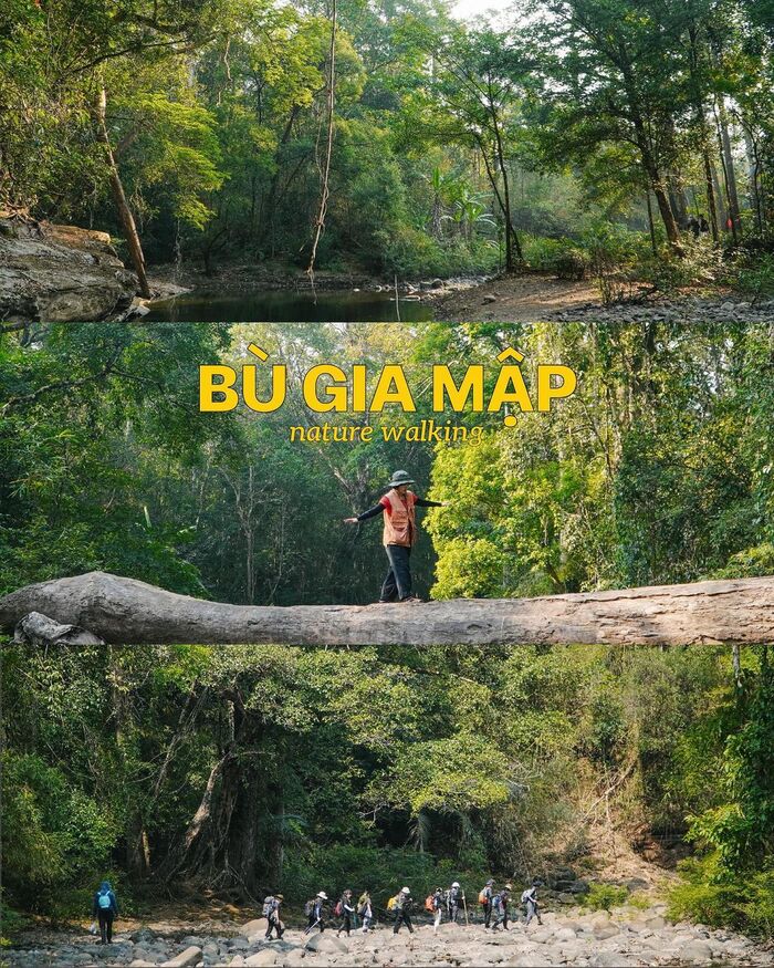 địa điểm trekking gần TP HCM - Vườn quốc gia Bù Gia Mập