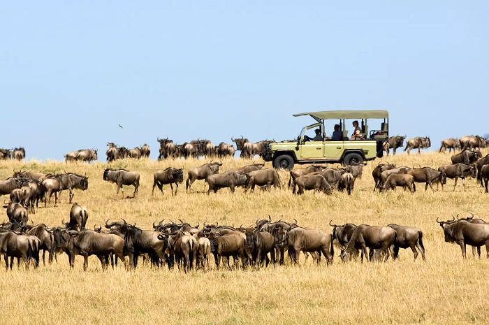 Tanzania và Kenya là những điểm du lịch tuyệt vời nhất thế giới dành cho những trải nghiệm “có một không hai”