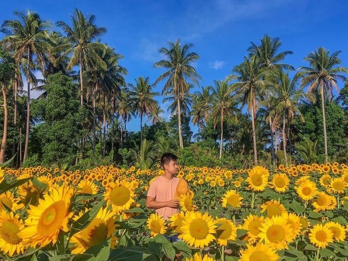 du lịch Albay Philippines