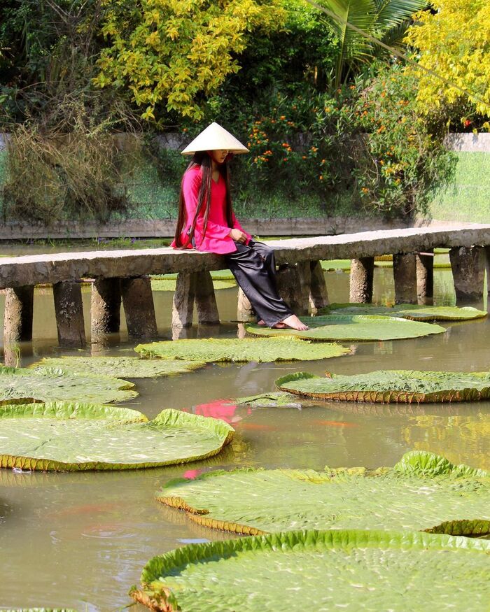 Du lịch Đồng Tháp mùa nước nổi ghé thăm vãn cảnh hồ sen ở chùa Phước Kiển