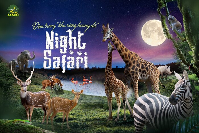 Kinh nghiệm du lịch Vinpearl Safari Phú Quốc - Khu Safari hoang dã về đêm