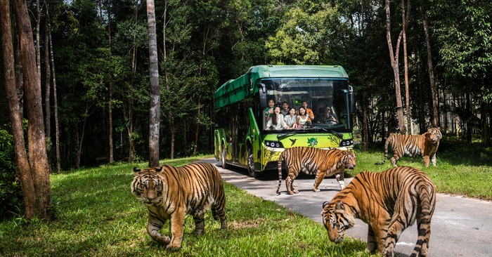 Kinh nghiệm du lịch Vinpearl Safari Phú Quốc - Khu Safari hoang dã