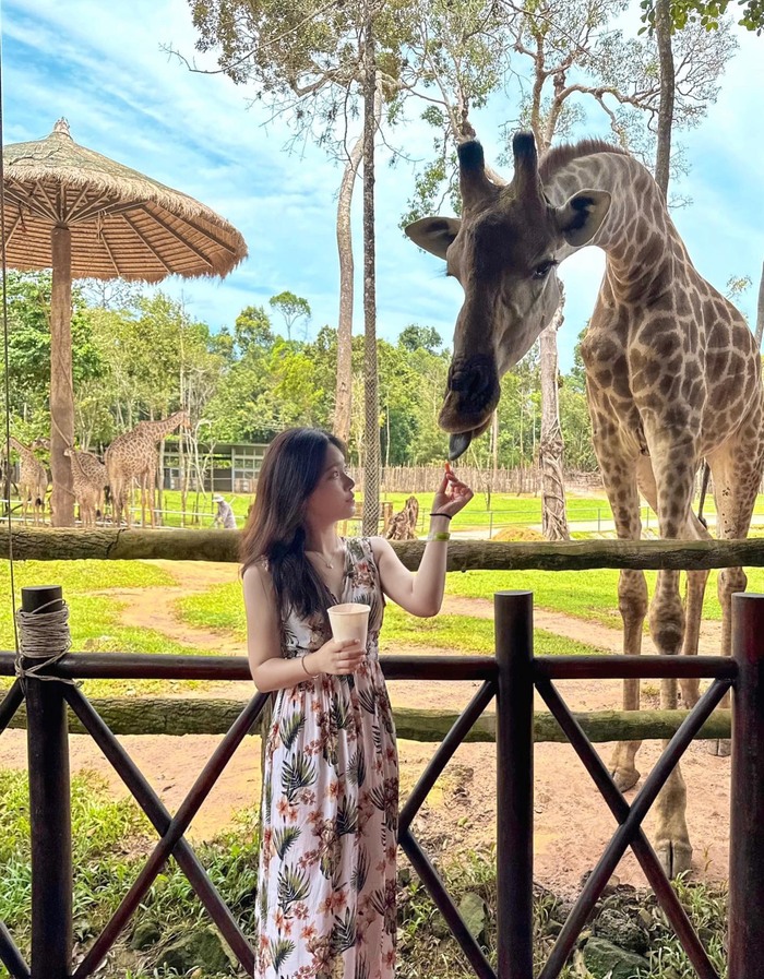 Kinh nghiệm du lịch Vinpearl Safari Phú Quốc - khám phá các phân khu hấp dẫn