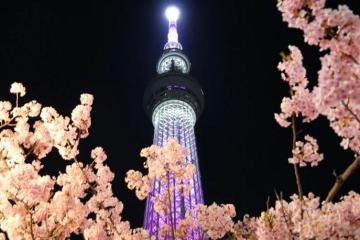 Kinh nghiệm khám phá Tokyo Skytree Nhật Bản: Vui chơi gì? Ăn uống ở đâu?