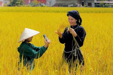 Làng Quỳnh Sơn Lạng Sơn – ngôi làng có một không hai ở thung lũng Bắc Sơn