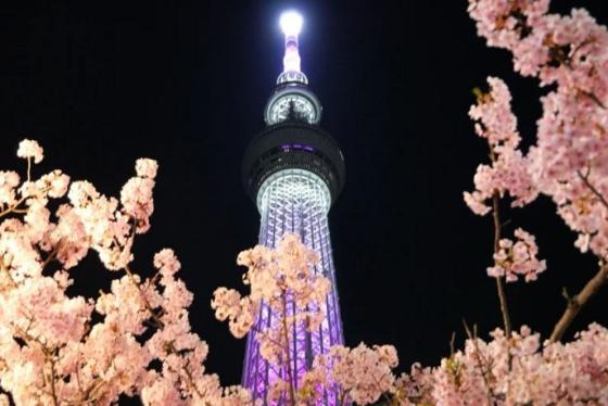 Kinh nghiệm khám phá Tokyo Skytree Nhật Bản: Vui chơi gì? Ăn uống ở đâu?