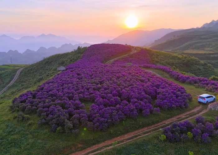 Kinh nghiệm di chuyển khi du lịch Sơn La mùa hoa mua