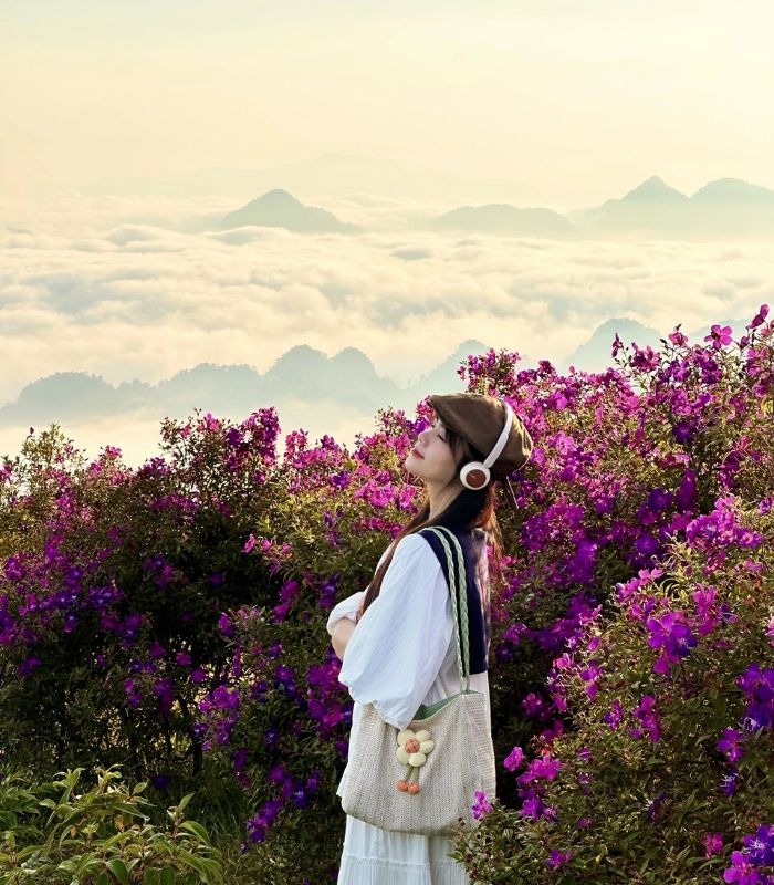 Kinh nghiệm săn ảnh đẹp khi du lịch Sơn La mùa hoa mua