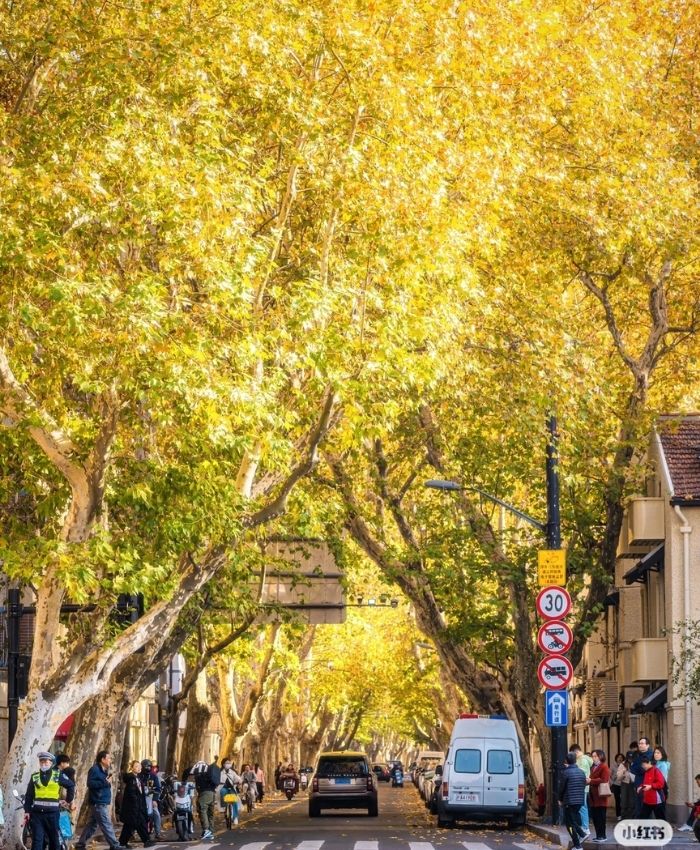 Cách di chuyển đến tòa nhà Wukang Thượng Hải