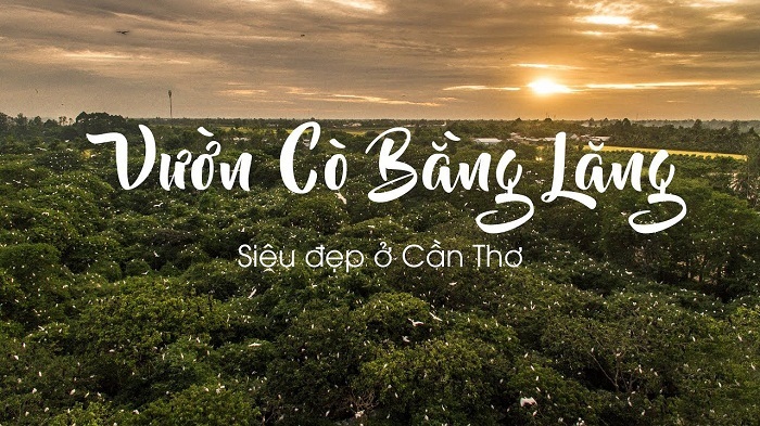 Không thể bỏ qua vườn cò Bằng Lăng Điểm du lịch mùa thu Việt Nam