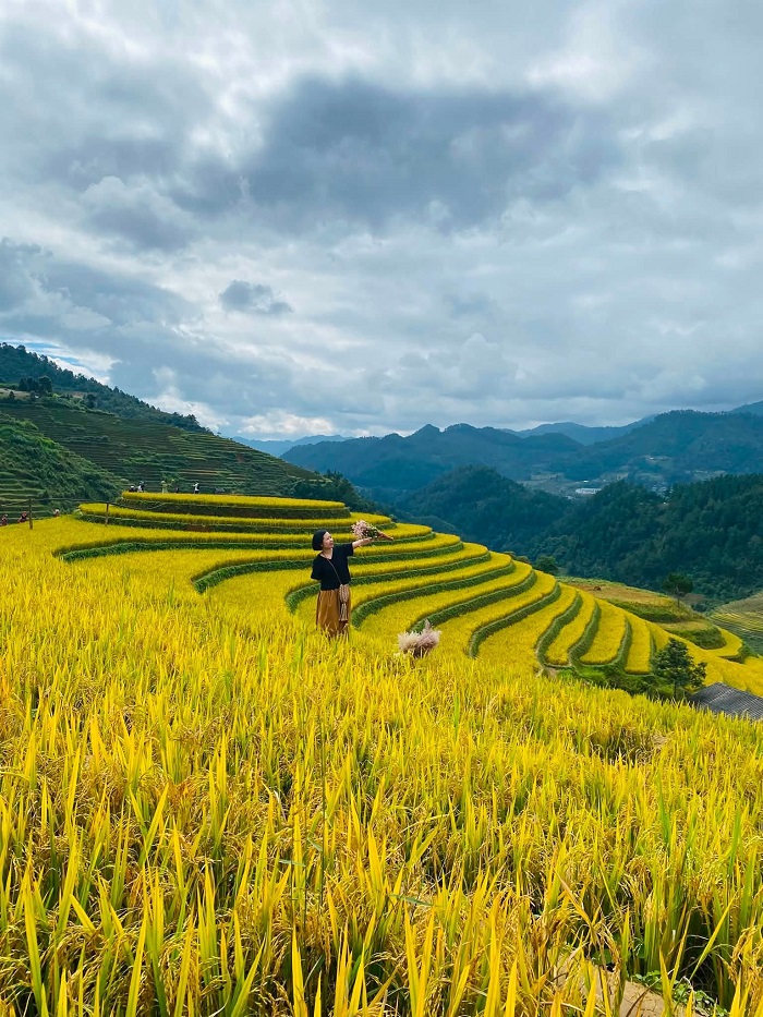 Điểm du lịch mùa thu Việt Nam khác là Mù Cang Chải
