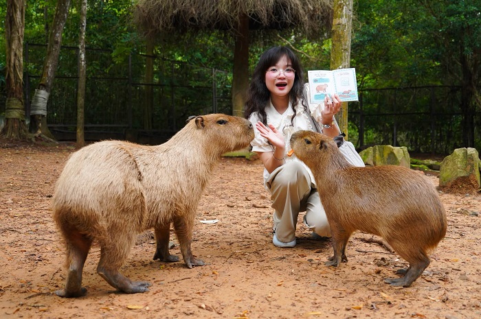 Tới Vinpearl Safari Phú Quốc Điểm du lịch mùa thu Việt Nam đảm bảo cả ngày không biết chán