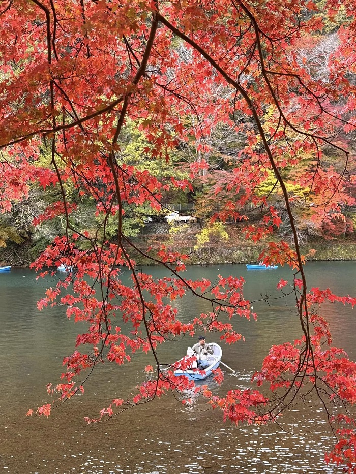 Bạn có thể du lịch Kyoto Nhật Bản tháng 10 một cách thuận tiện