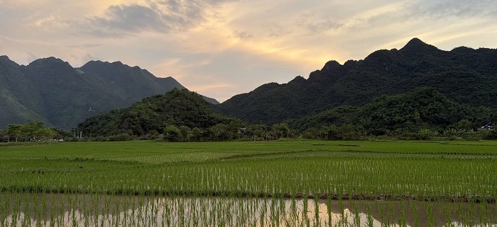Bản Nhót Mai Châu mang vẻ đẹp bình yên