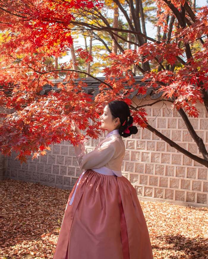 Địa điểm ngắm lá đỏ Hàn Quốc - Cung điện Gyeongbokgung
