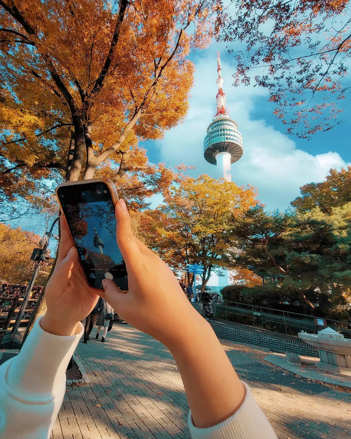 Địa điểm ngắm lá đỏ Hàn Quốc - Núi Namsan