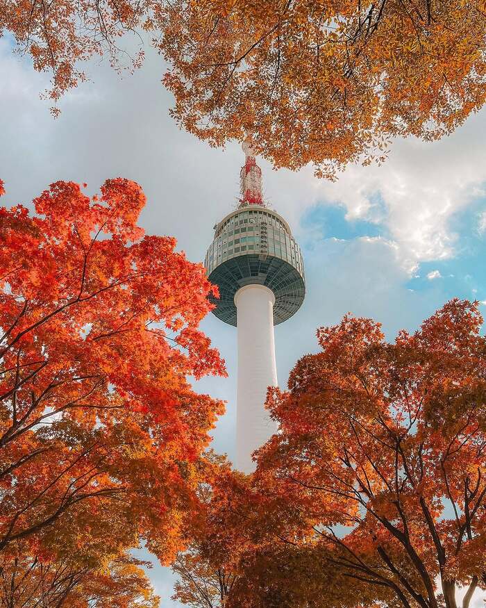 Địa điểm ngắm lá đỏ Hàn Quốc - Núi Namsan