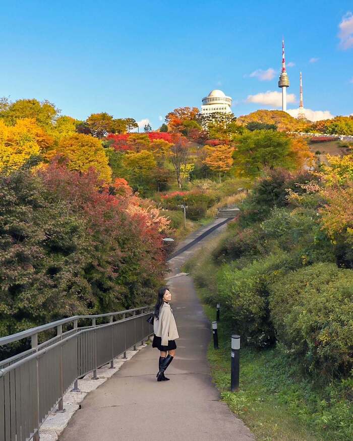 Địa điểm ngắm lá đỏ Hàn Quốc - Núi Namsan
