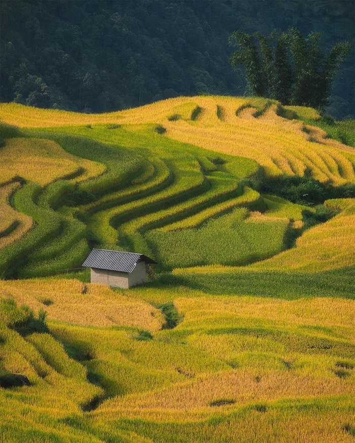 Kinh nghiệm du lịch Y Tý Lào Cai - Nên đi Y Tý mùa nào