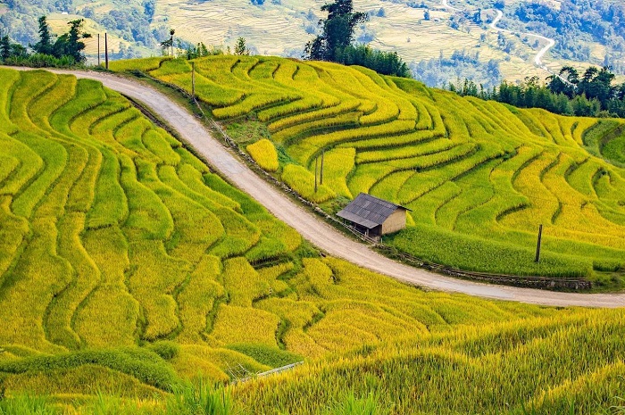 Kinh nghiệm du lịch Y Tý Lào Cai - Y Tý đẹp tuyệt vào mùa thu