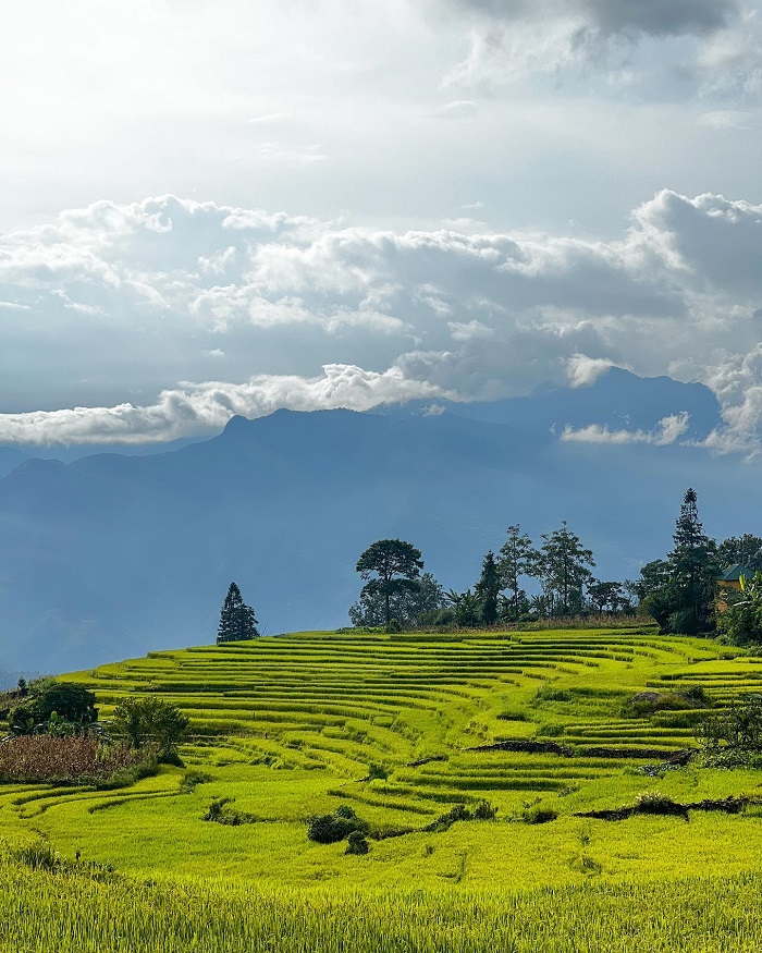 Kinh nghiệm du lịch Y Tý Lào Cai - Y Tý mang đến trải nghiệm độc đáo cho du khách