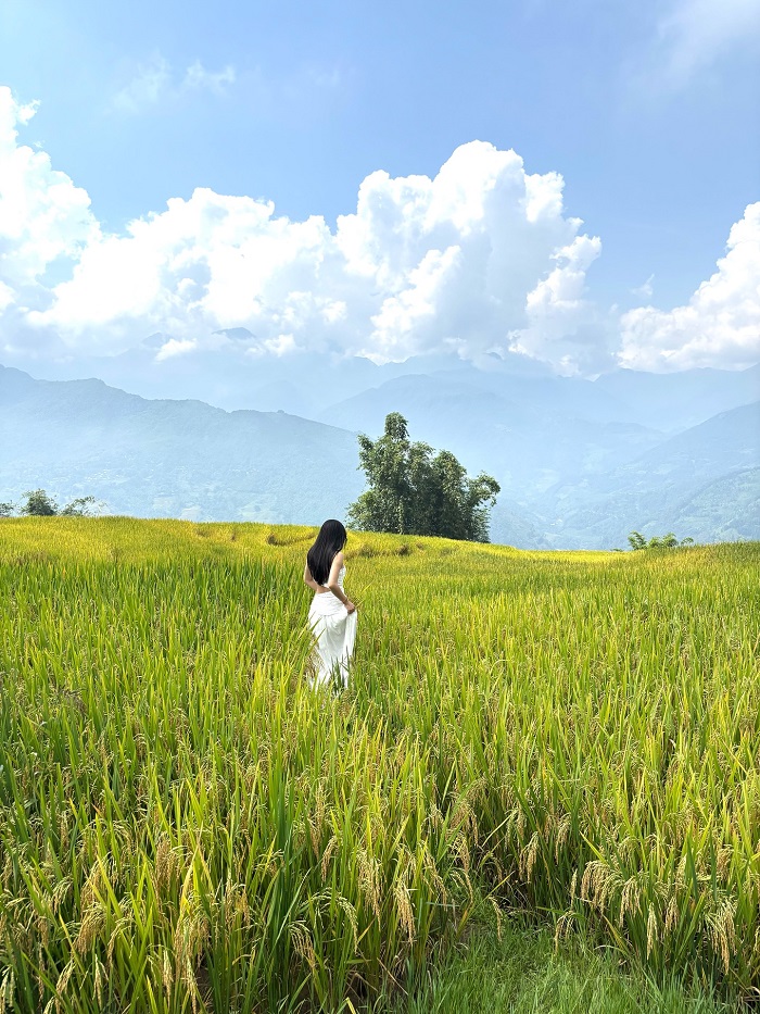 Kinh nghiệm du lịch Y Tý Lào Cai - Địa chỉ lưu trú ở Y Tý