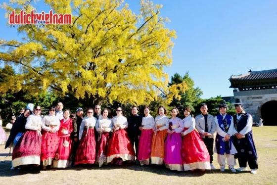 Du Lịch Hàn Quốc Mùa Lá Đỏ 6N5Đ | Hành Trình Busan – Seoul – Nami – Incheon