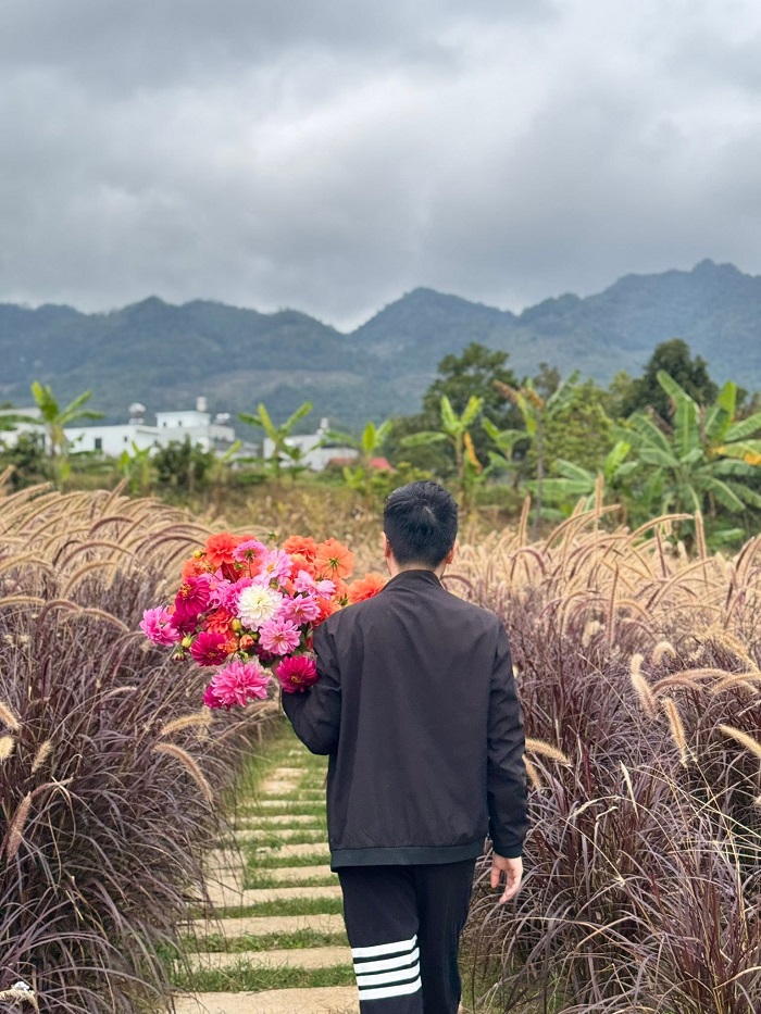 Mộc Hoa Garden là vườn hoa đẹp nhất Mộc Châu khung cảnh thơ mộng