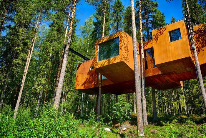 Khách sạn trên cây Treehotel độc đáo nhất Thụy Điển