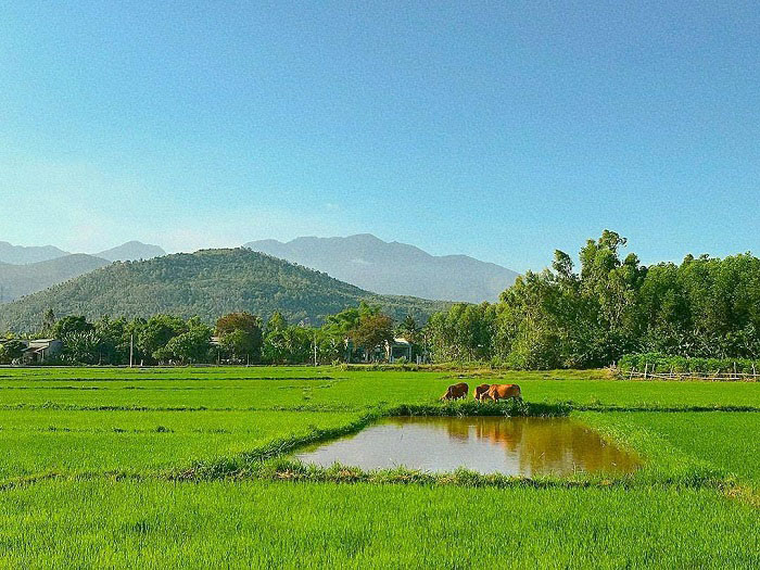 Hòa Bắc – nơi cuộc sống bình yên, tĩnh lặng