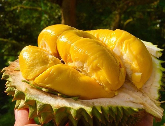 Kinh nghiệm mang đồ ăn khi đi nước ngoài bạn cần lưu ý để không gặp rắc rối 