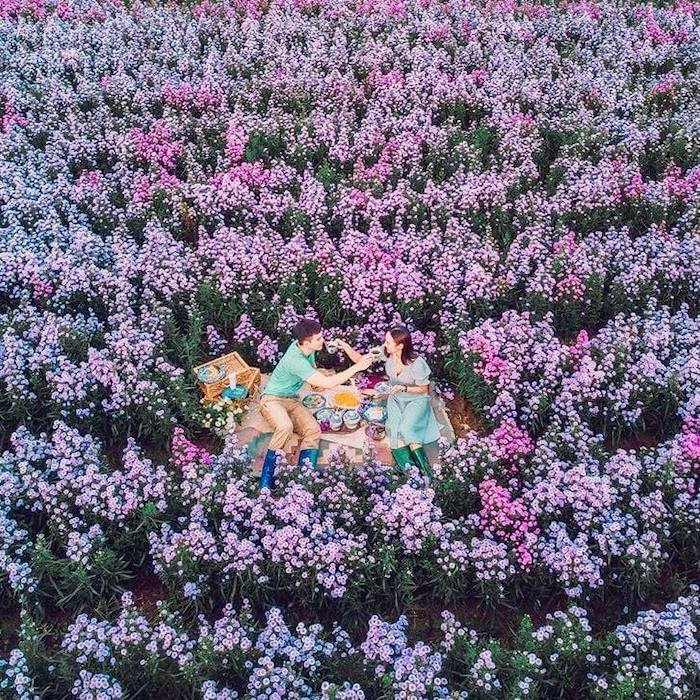 Nông trại hoa sống ảo mới toanh ở Chiang Mai, Thái Lan